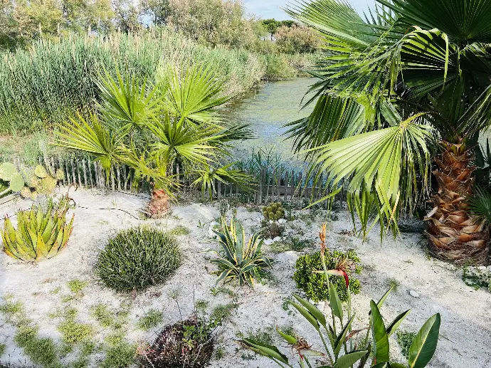 plante et roubine cabane le flamant vue sur la roubine
