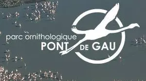 le pont de gau saintes maries de la mer parc ornithologique