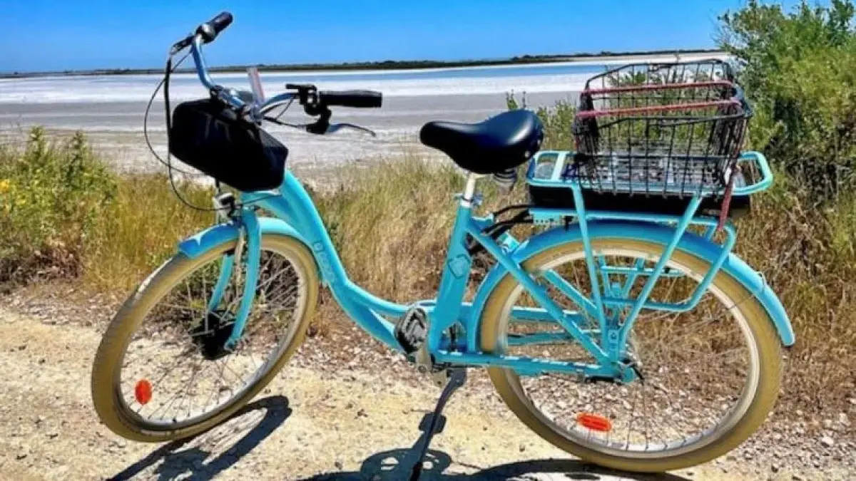 le vélociste saintes maries de la mer location de vélo